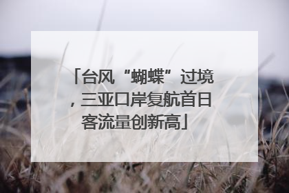 台风“蝴蝶”过境，三亚口岸复航首日客流量创新高