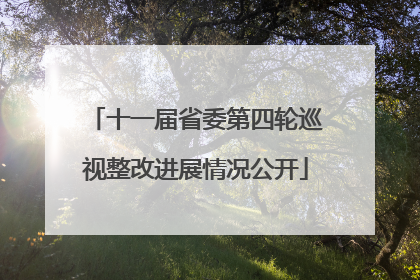 十一届省委第四轮巡视整改进展情况公开