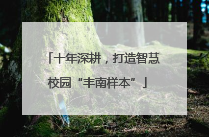 十年深耕，打造智慧校园“丰南样本”