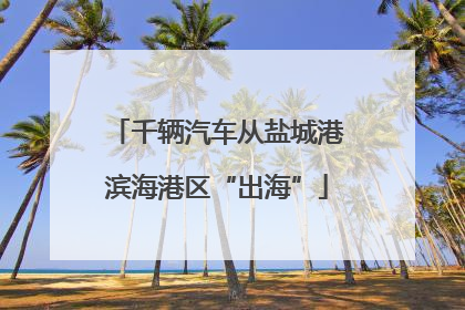 千辆汽车从盐城港滨海港区“出海”