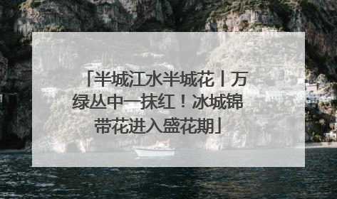 半城江水半城花丨万绿丛中一抹红！冰城锦带花进入盛花期