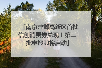 南京建邺高新区首批信创消费券兑现！第二批申报即将启动