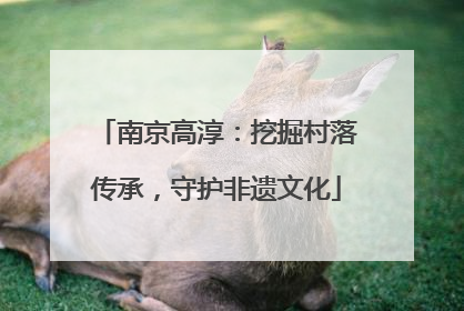 南京高淳：挖掘村落传承，守护非遗文化