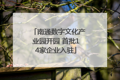 南通数字文化产业园开园 首批14家企业入驻