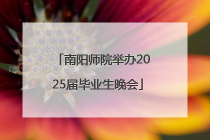 南阳师院举办2025届毕业生晚会