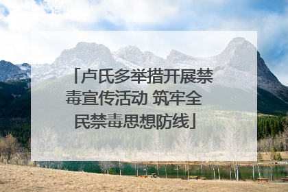 卢氏多举措开展禁毒宣传活动 筑牢全民禁毒思想防线