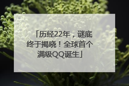历经22年，谜底终于揭晓！全球首个满级QQ诞生
