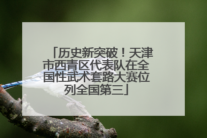 历史新突破！天津市西青区代表队在全国性武术套路大赛位列全国第三