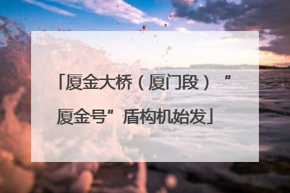 厦金大桥（厦门段）“厦金号”盾构机始发