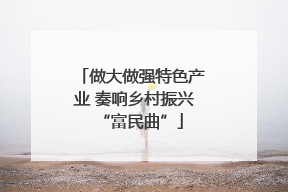 做大做强特色产业 奏响乡村振兴“富民曲”