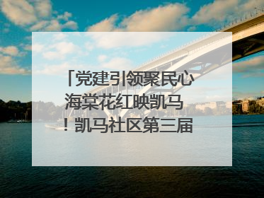 党建引领聚民心 海棠花红映凯马！凯马社区第三届邻里生活节谱写幸福新篇章