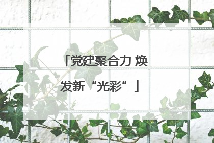 党建聚合力 焕发新“光彩”