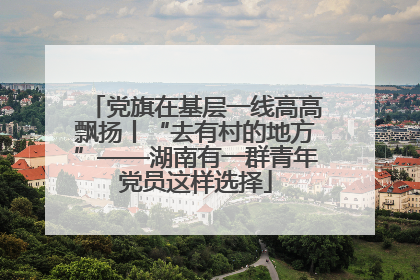 党旗在基层一线高高飘扬丨“去有村的地方”——湖南有一群青年党员这样选择
