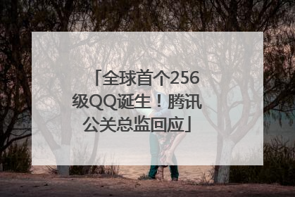 全球首个256级QQ诞生！腾讯公关总监回应