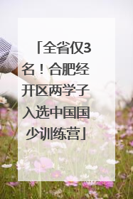 全省仅3名！合肥经开区两学子入选中国国少训练营