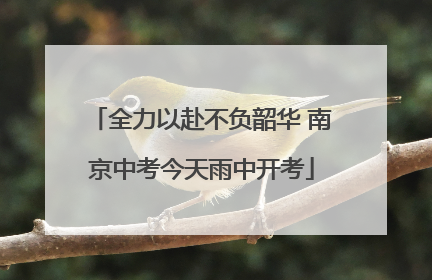 全力以赴不负韶华 南京中考今天雨中开考