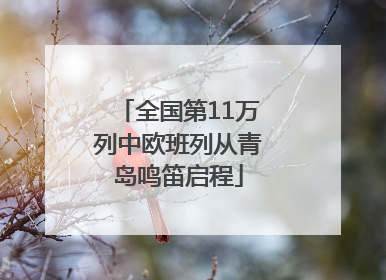 全国第11万列中欧班列从青岛鸣笛启程