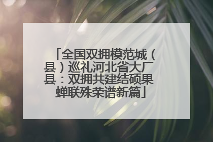 全国双拥模范城（县）巡礼河北省大厂县：双拥共建结硕果 蝉联殊荣谱新篇