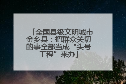 全国县级文明城市金乡县：把群众关切的事全部当成“头号工程”来办