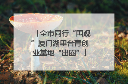 全市同行“围观”厦门湖里台青创业基地“出圈”