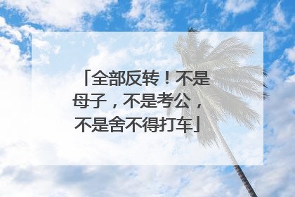 全部反转！不是母子，不是考公，不是舍不得打车