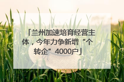 兰州加速培育经营主体，今年力争新增“个转企”4000户