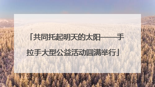 共同托起明天的太阳——手拉手大型公益活动圆满举行