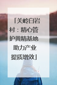 关岭白岩村：精心管护黄精基地 助力产业提质增效