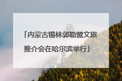 内蒙古锡林郭勒盟文旅推介会在哈尔滨举行