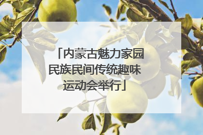 内蒙古魅力家园民族民间传统趣味运动会举行
