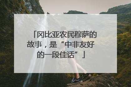 冈比亚农民穆萨的故事，是“中非友好的一段佳话”