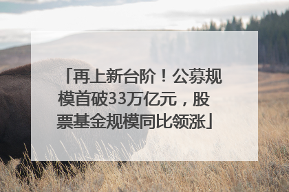 再上新台阶！公募规模首破33万亿元，股票基金规模同比领涨