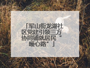 军山街龙湖社区党建引领三方协同铺就居民“暖心路”