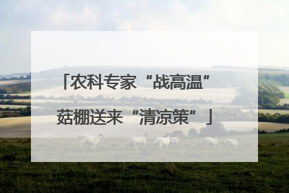 农科专家“战高温” 菇棚送来“清凉策”