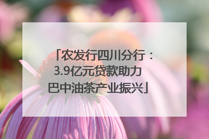 农发行四川分行：3.9亿元贷款助力巴中油茶产业振兴