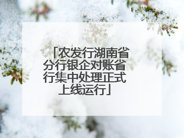 农发行湖南省分行银企对账省行集中处理正式上线运行