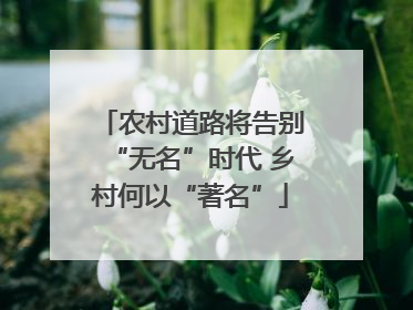农村道路将告别“无名”时代 乡村何以“著名”