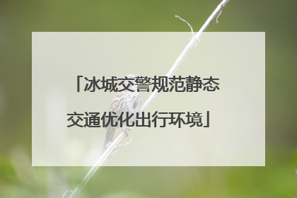冰城交警规范静态交通优化出行环境
