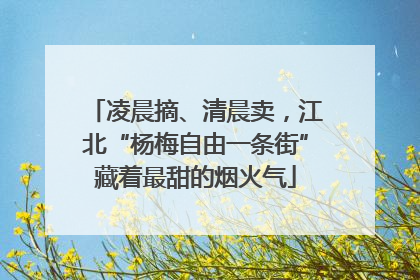 凌晨摘、清晨卖，江北“杨梅自由一条街”藏着最甜的烟火气
