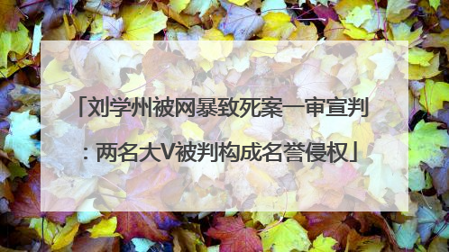 刘学州被网暴致死案一审宣判：两名大V被判构成名誉侵权