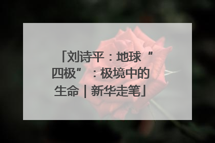 刘诗平：地球“四极”：极境中的生命｜新华走笔