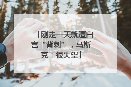 刚走一天就遭白宫“背刺”，马斯克：很失望