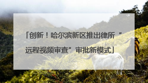 创新！哈尔滨新区推出律所“远程视频审查”审批新模式