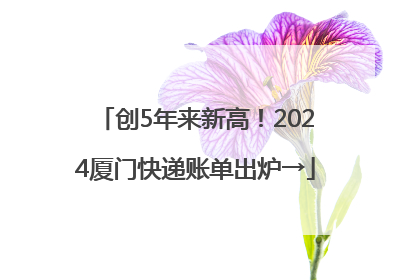 创5年来新高！2024厦门快递账单出炉→