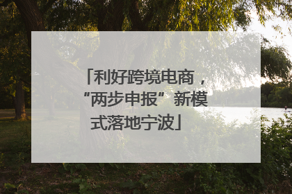 利好跨境电商，“两步申报”新模式落地宁波