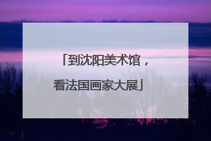 到沈阳美术馆，看法国画家大展