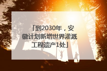 到2030年，安徽计划新增世界灌溉工程遗产1处