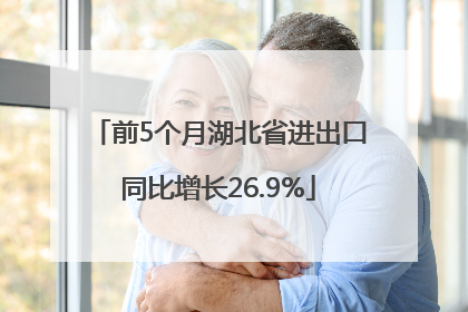 前5个月湖北省进出口同比增长26.9%