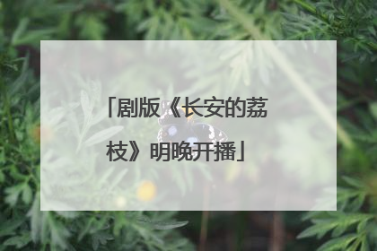 剧版《长安的荔枝》明晚开播