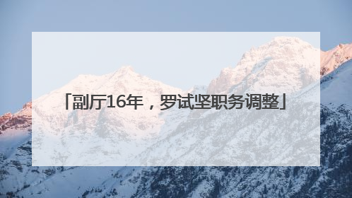 副厅16年，罗试坚职务调整